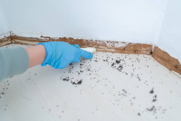 Best Pest Prevention Services  in Colony Rk, PA